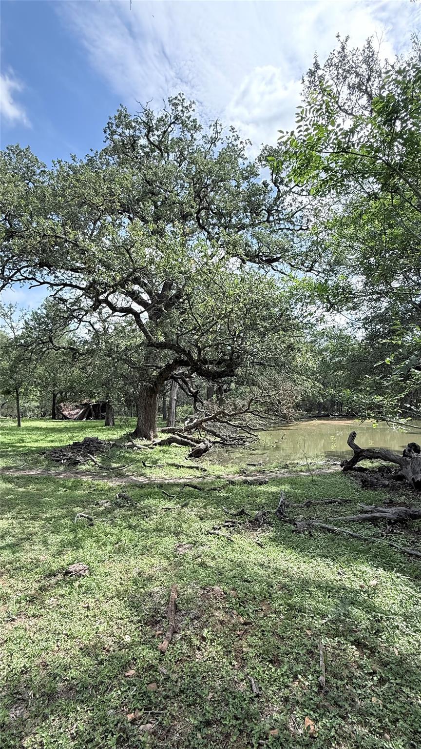 1880 Fm 2571 None Property Photo 6