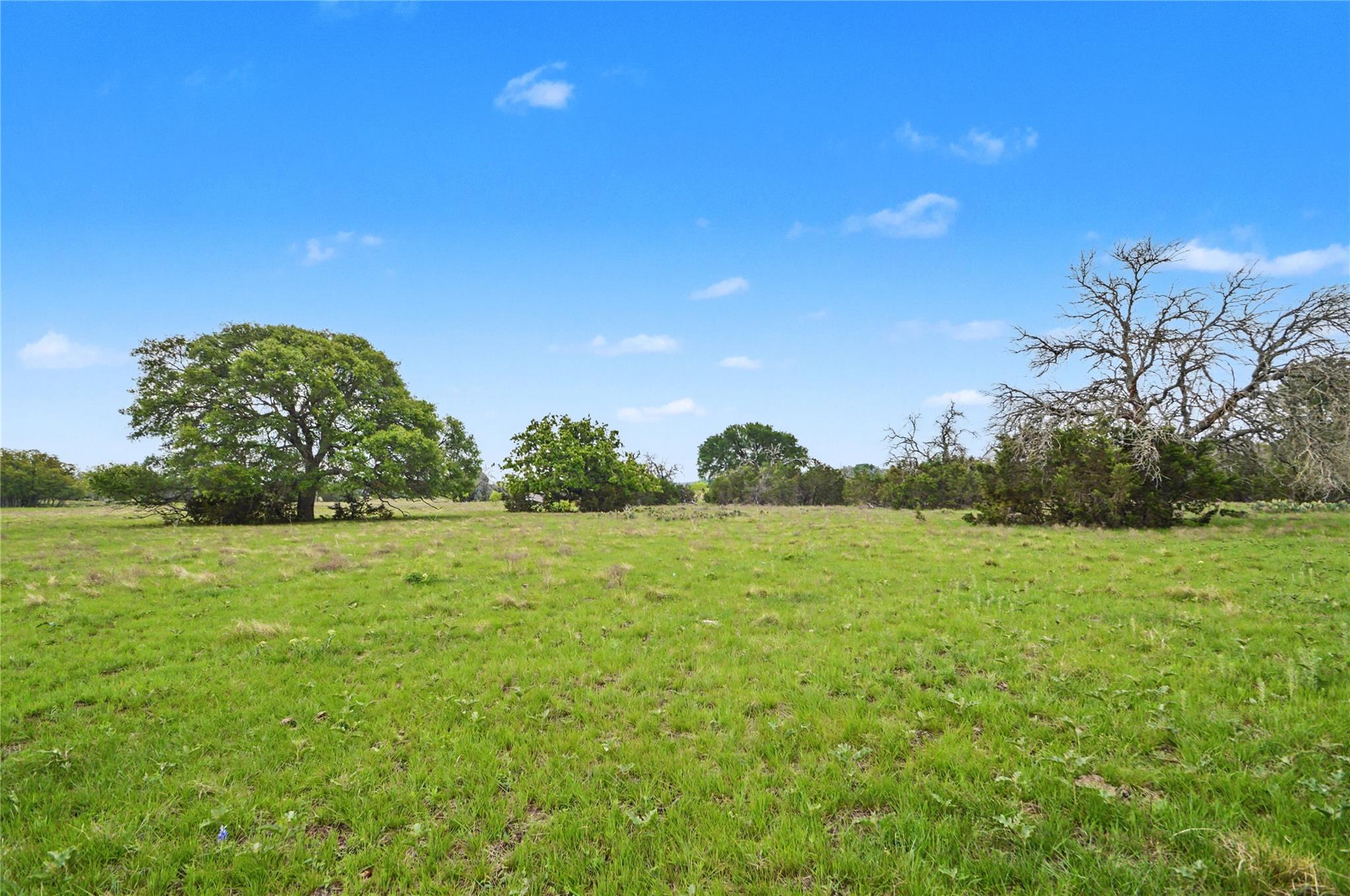 1312 Fm 581 Hwy E Property Photo 40