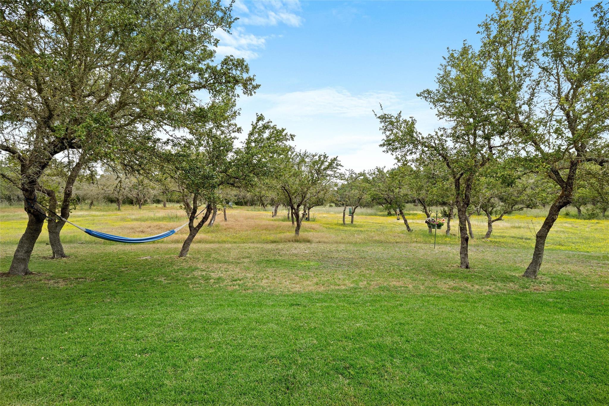 426 Preiss Ranch Rd Property Photo 25