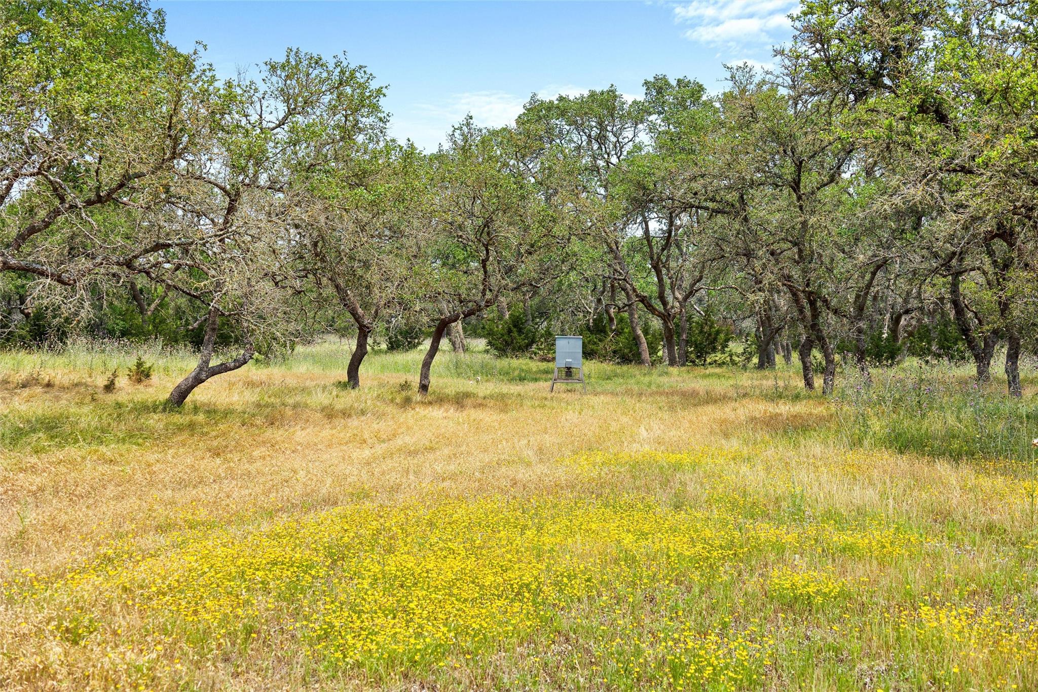 426 Preiss Ranch Rd Property Photo 29
