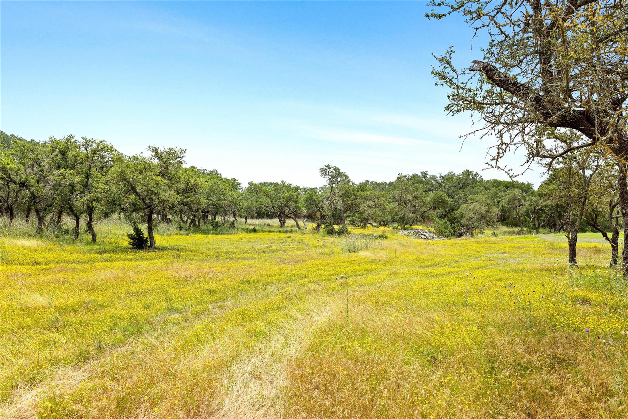 426 Preiss Ranch Rd Property Photo 31