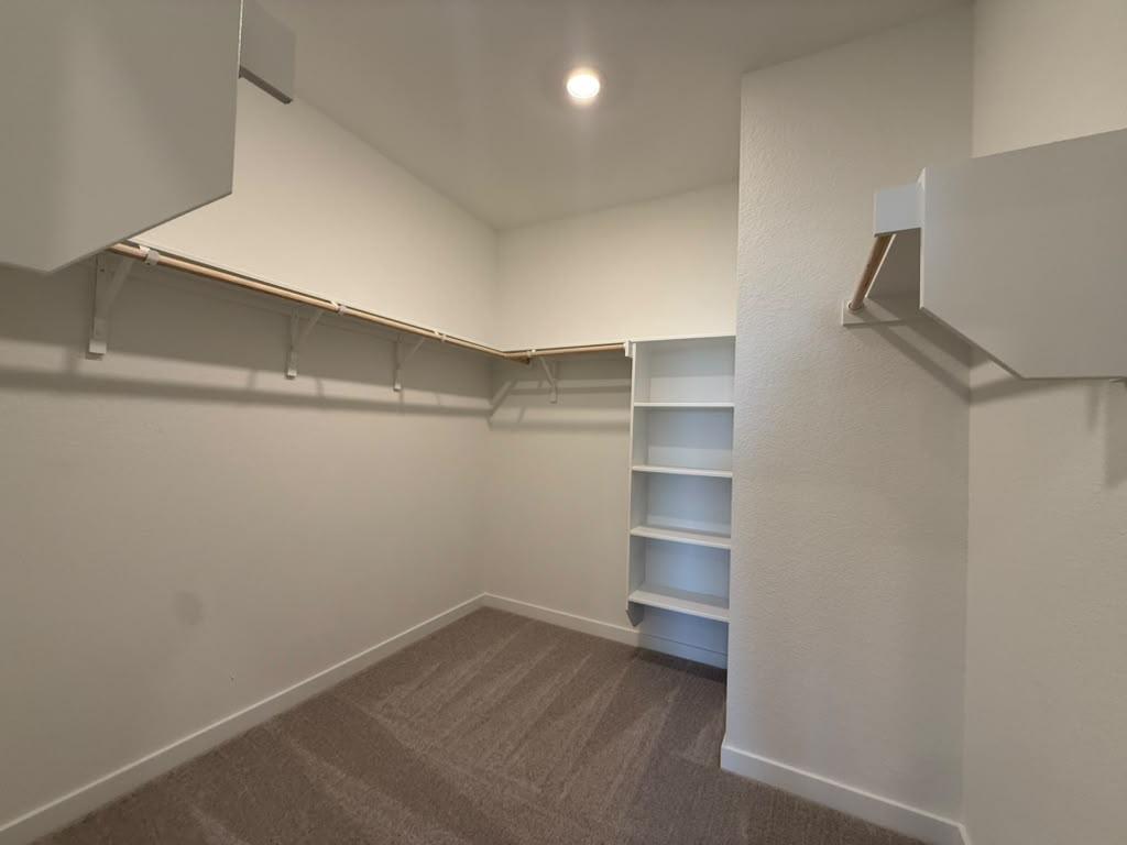 441 Sormonne Loop Property Photo 21