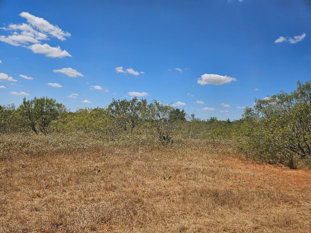 358 S Highway 95 None S Property Photo 4