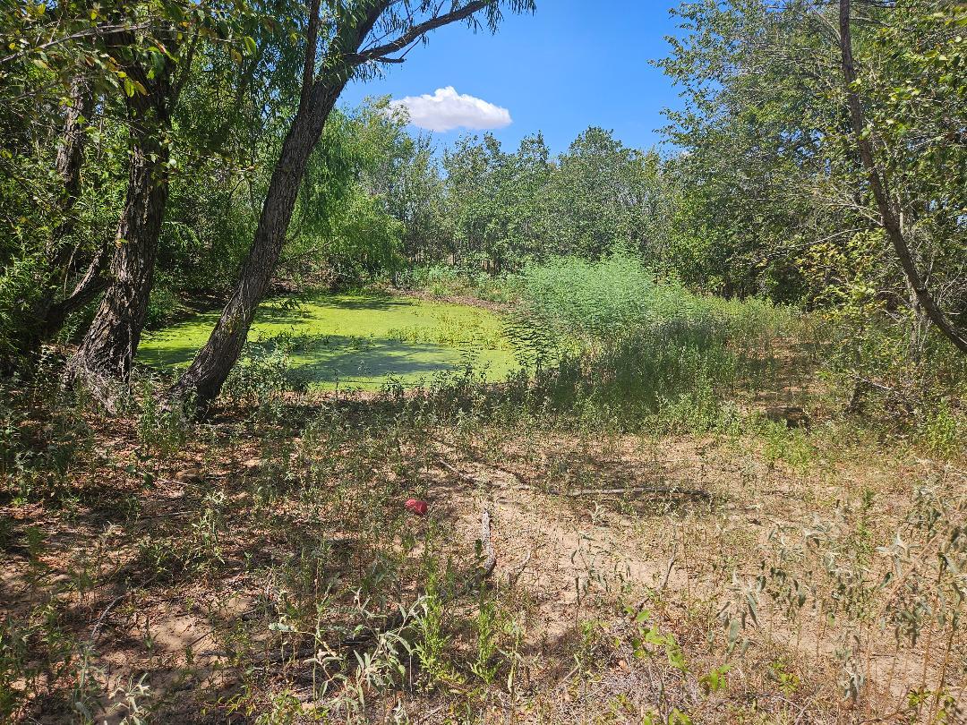 358 S Highway 95 None S Property Photo 10