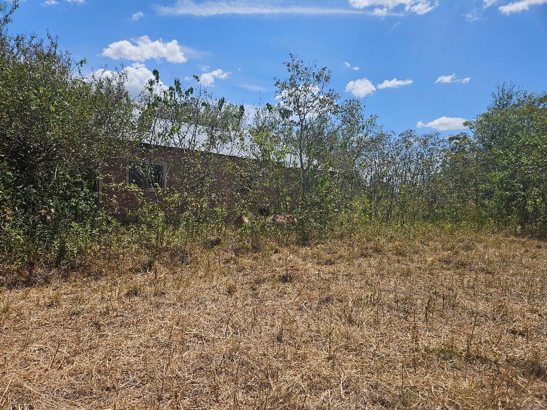 358 S Highway 95 None S Property Photo 11