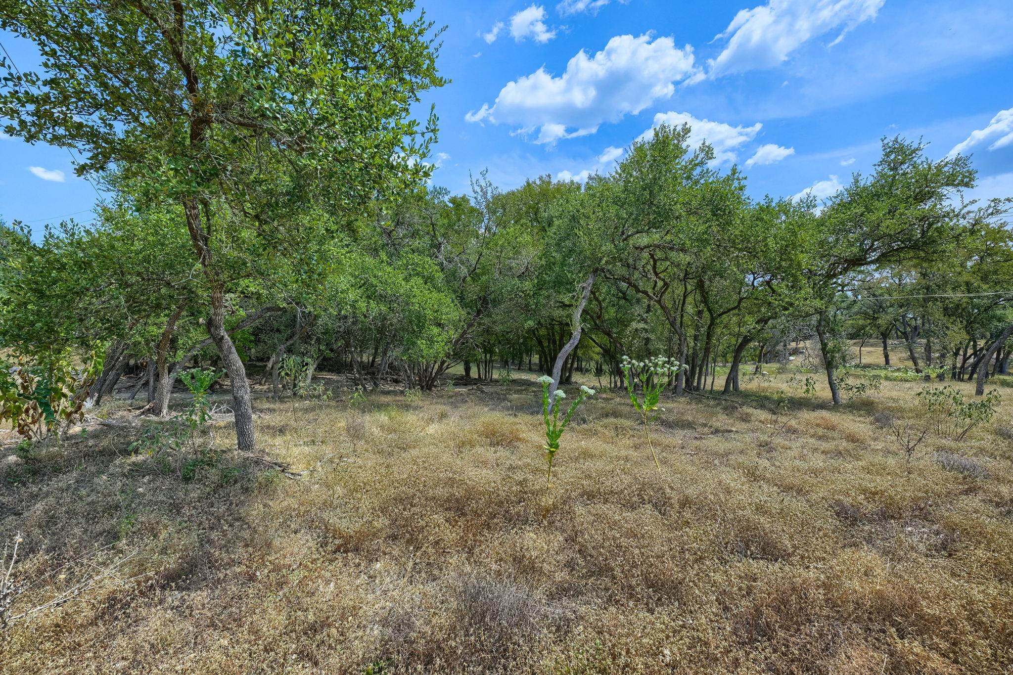 0 Leveritts Loop Property Photo 3