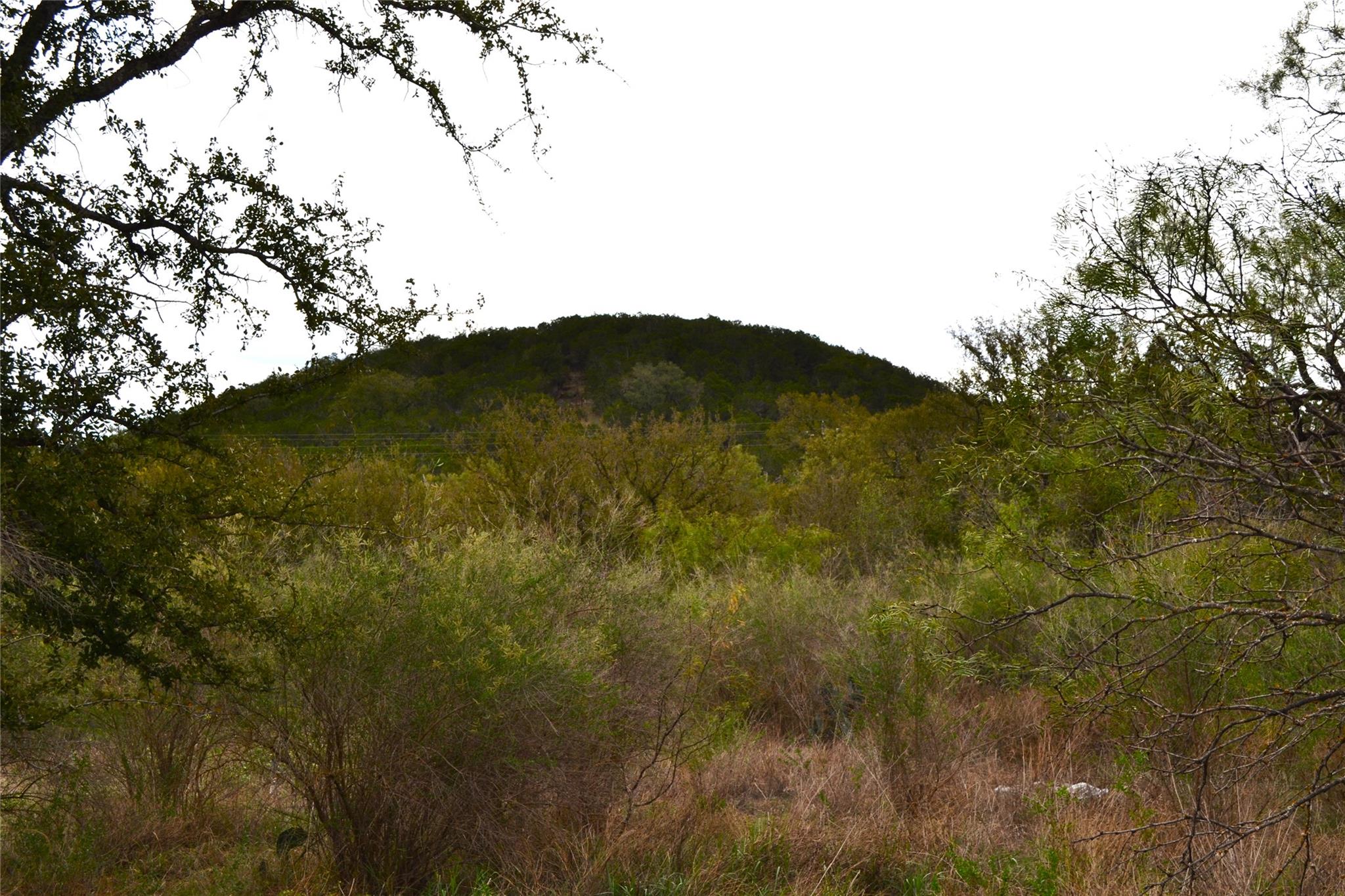 0 Ranch Road 2241 Property Photo 7