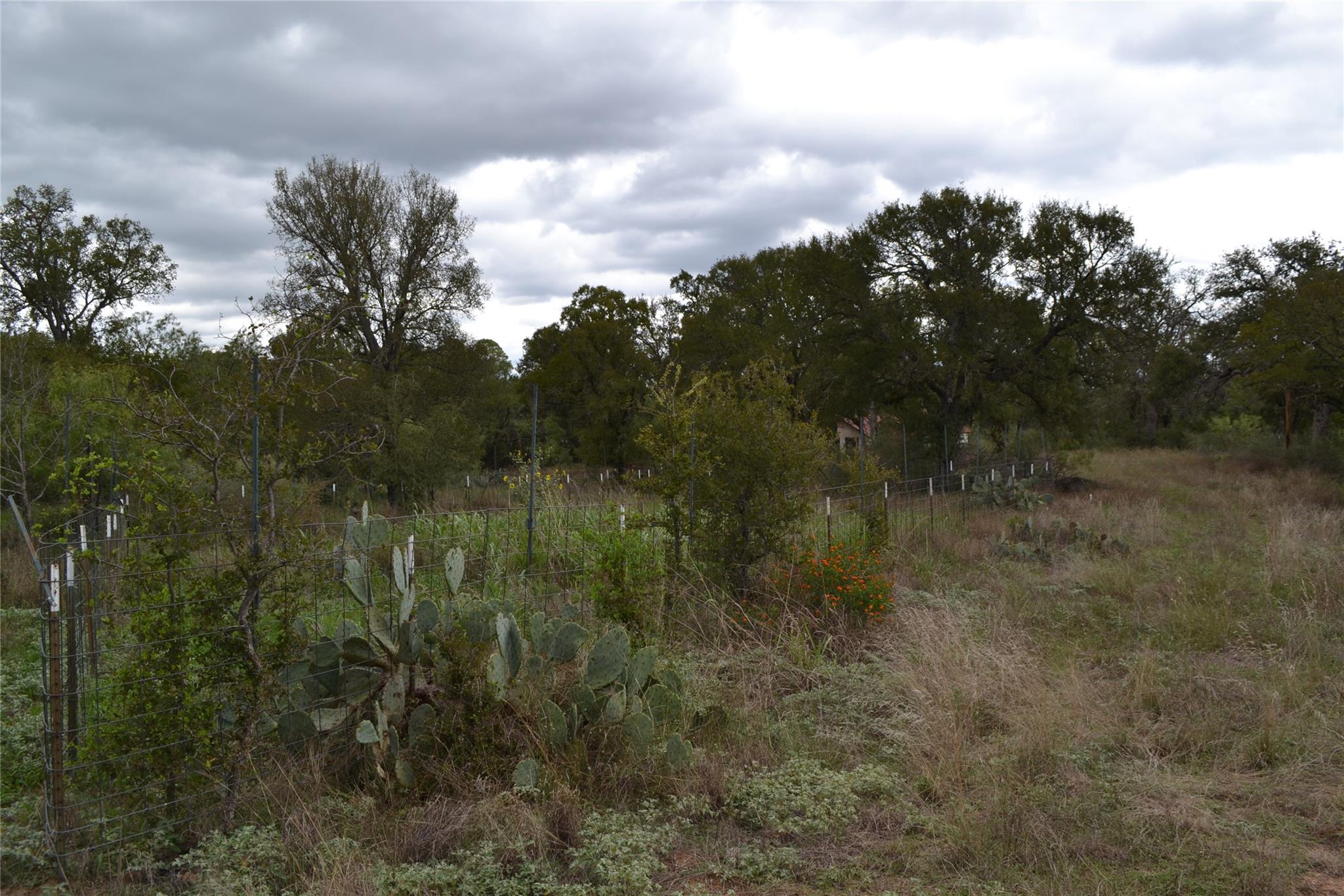 0 Ranch Road 2241 Property Photo 8