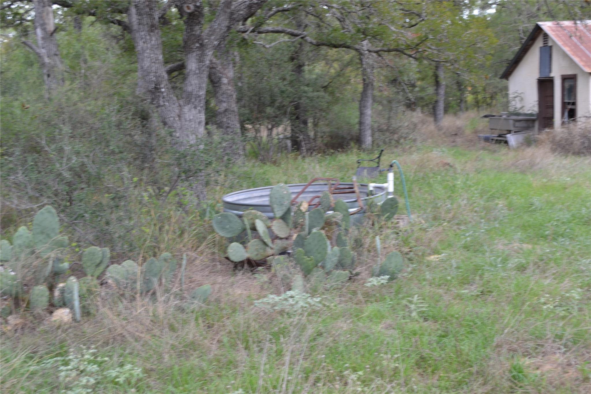 0 Ranch Road 2241 Property Photo 10