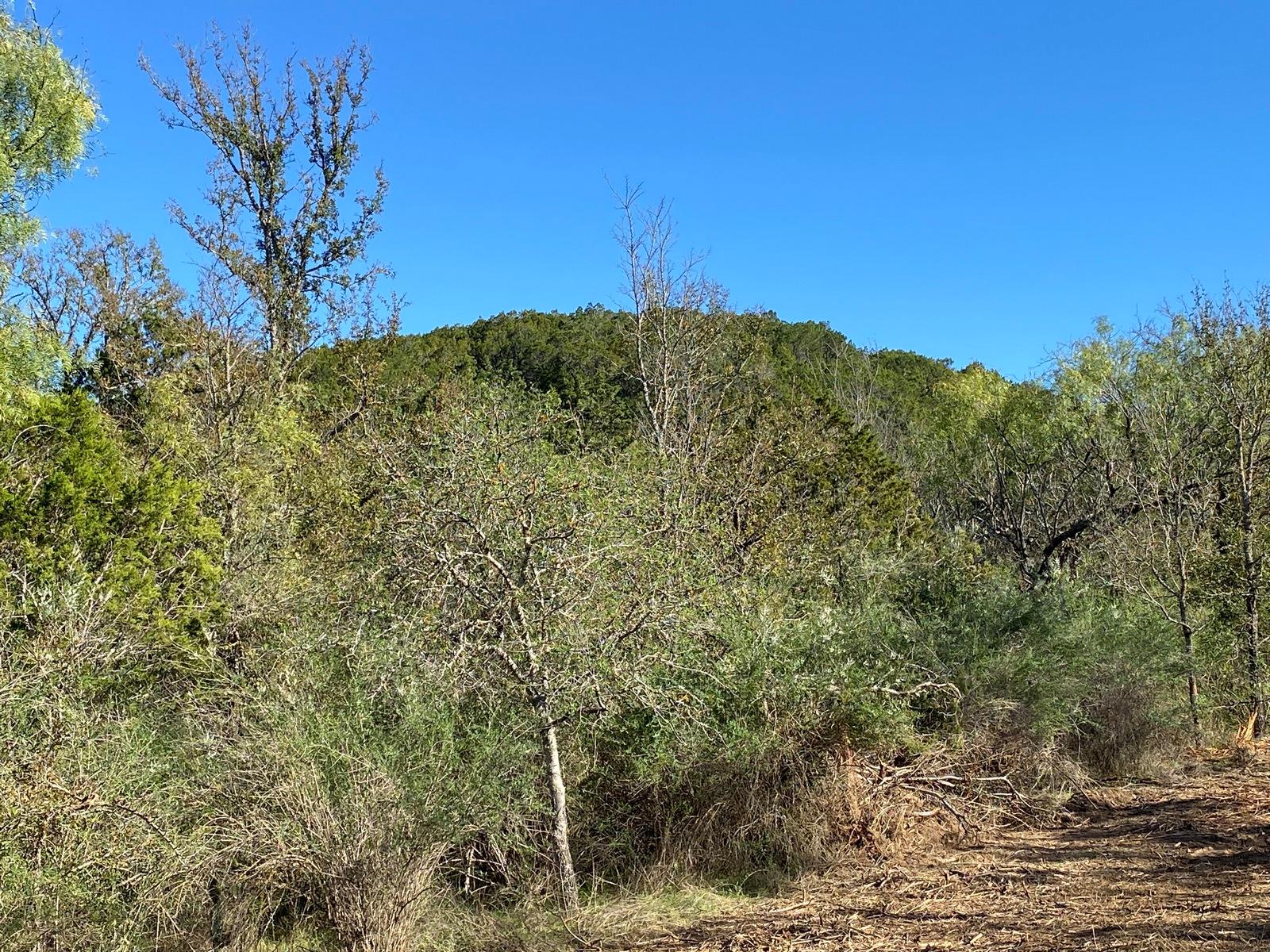0 Ranch Road 2241 Property Photo 11
