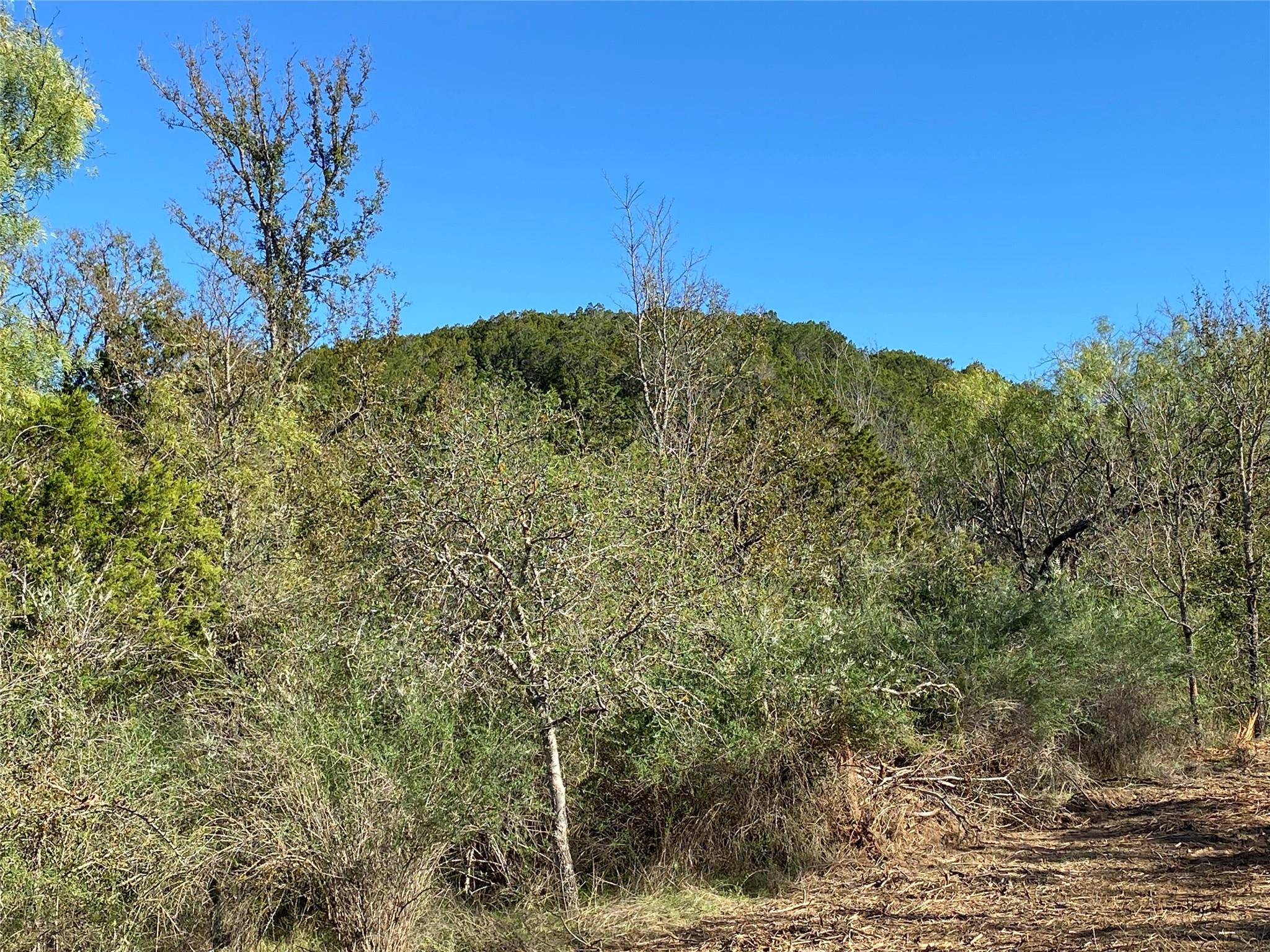 0 Ranch Road 2241 Property Photo 12
