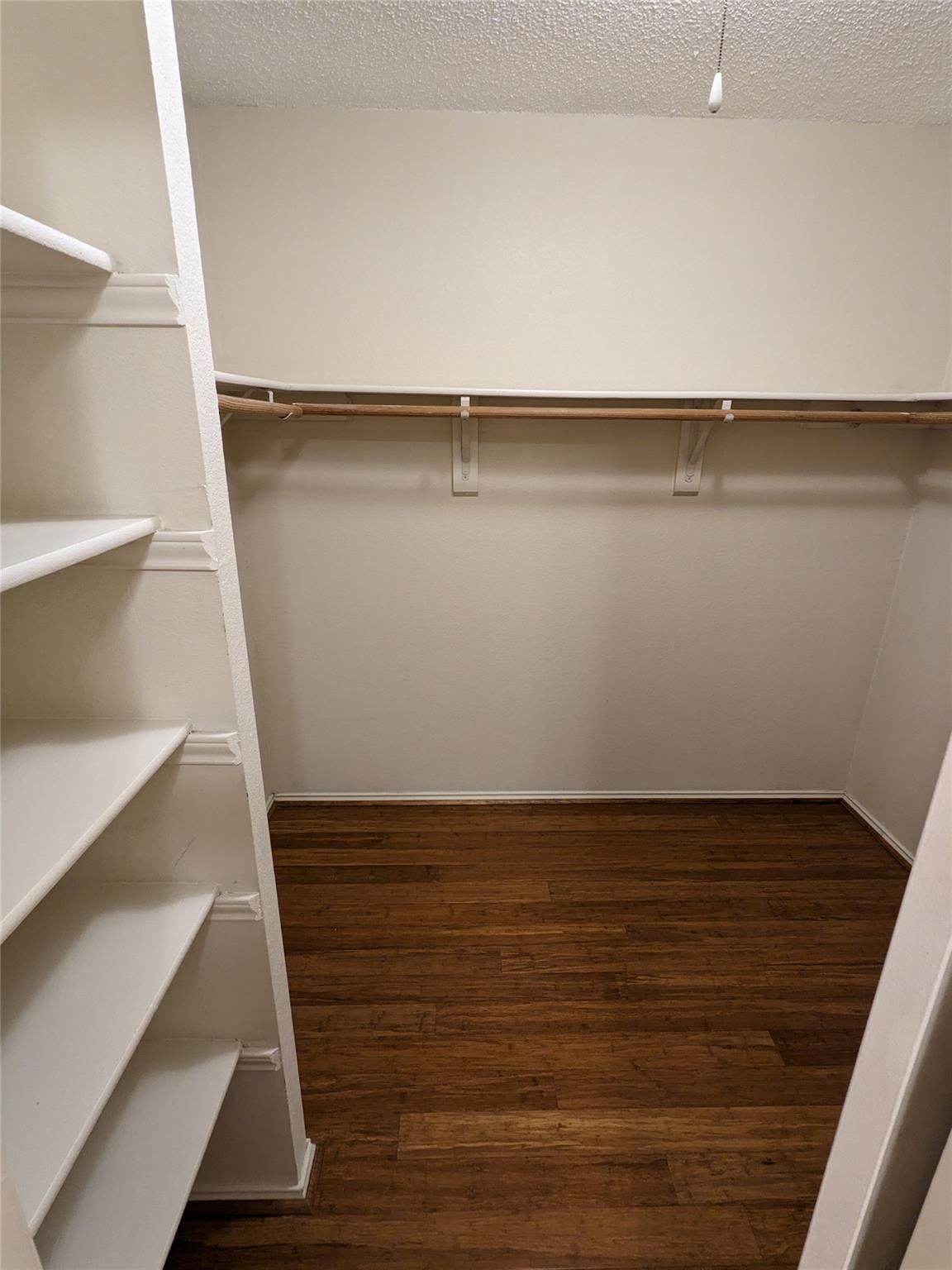 8608 Dandelion Trl Property Photo 25