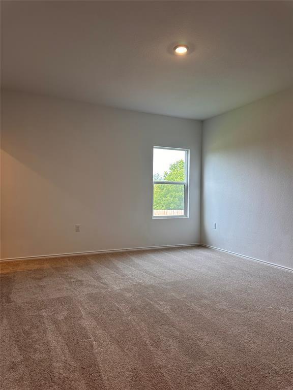 2525 Willkomen Way Property Photo 9