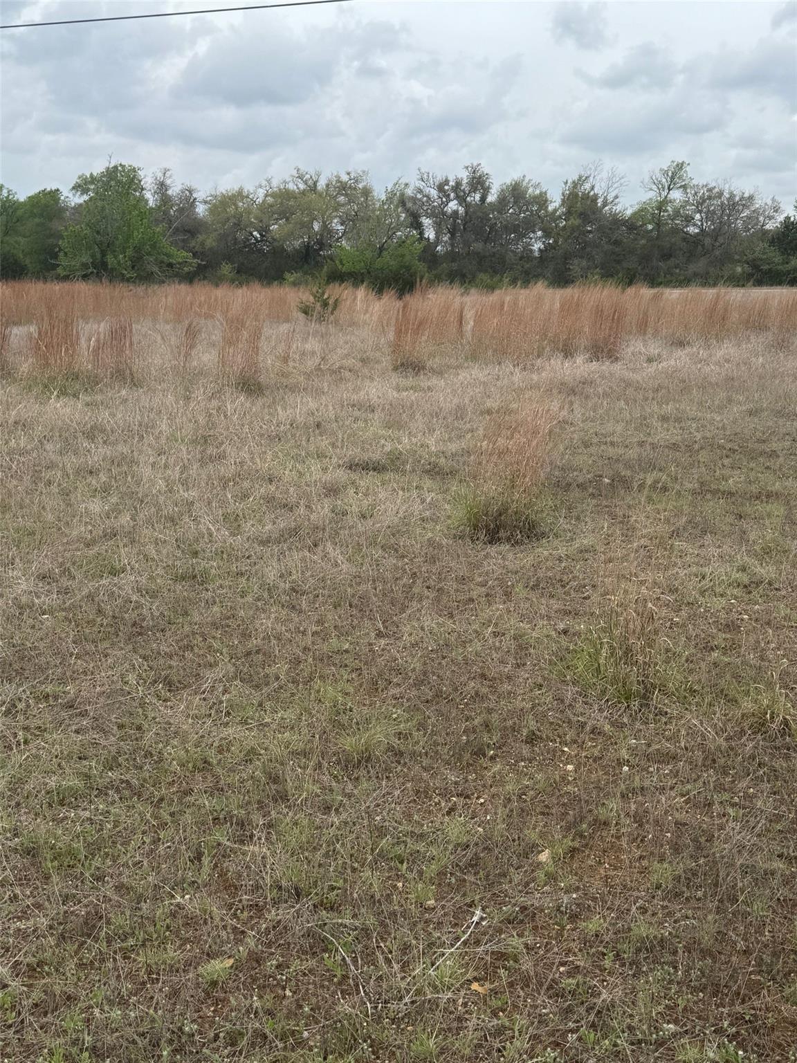 14787 Fitzhugh Rd Property Photo 5