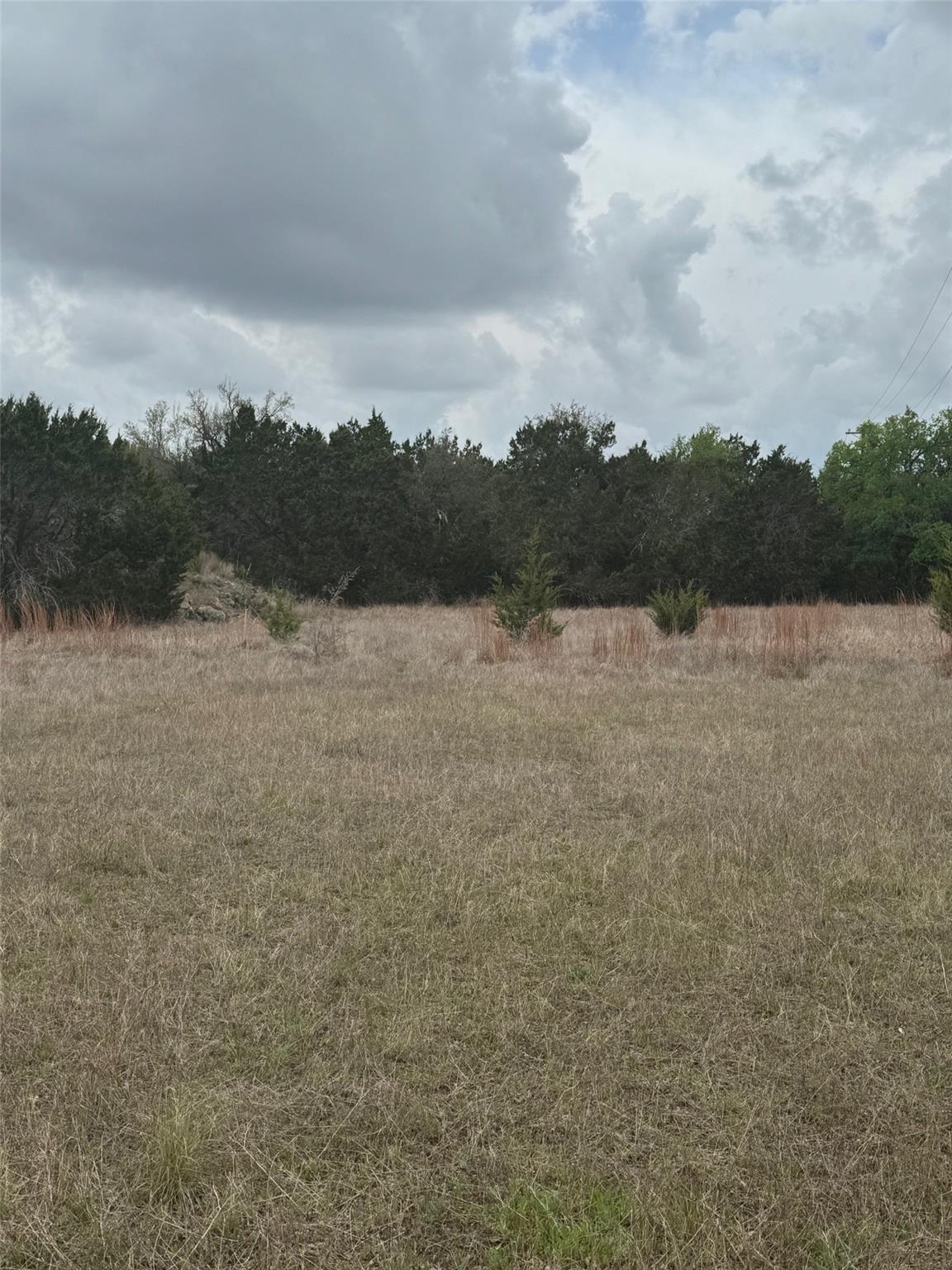 14787 Fitzhugh Rd Property Photo 6