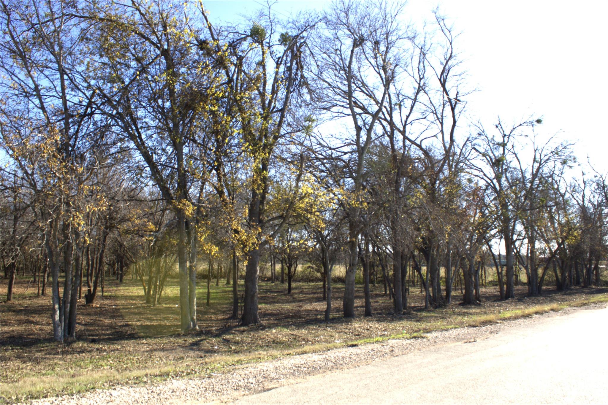 Tbd S Hackberry St Property Photo 3