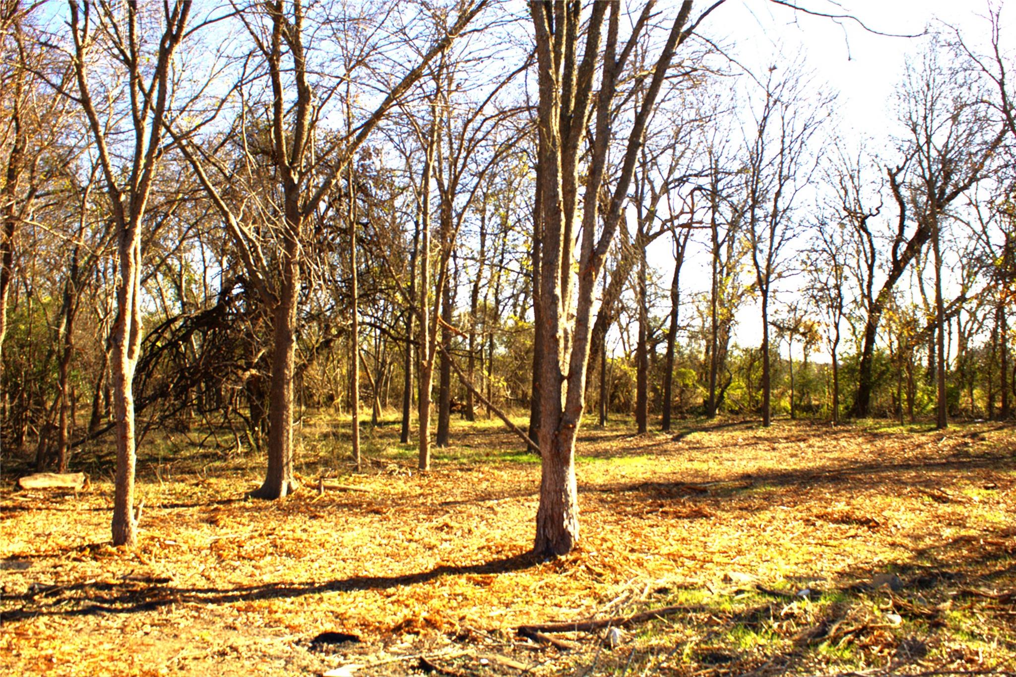 Tbd S Hackberry St Property Photo 5