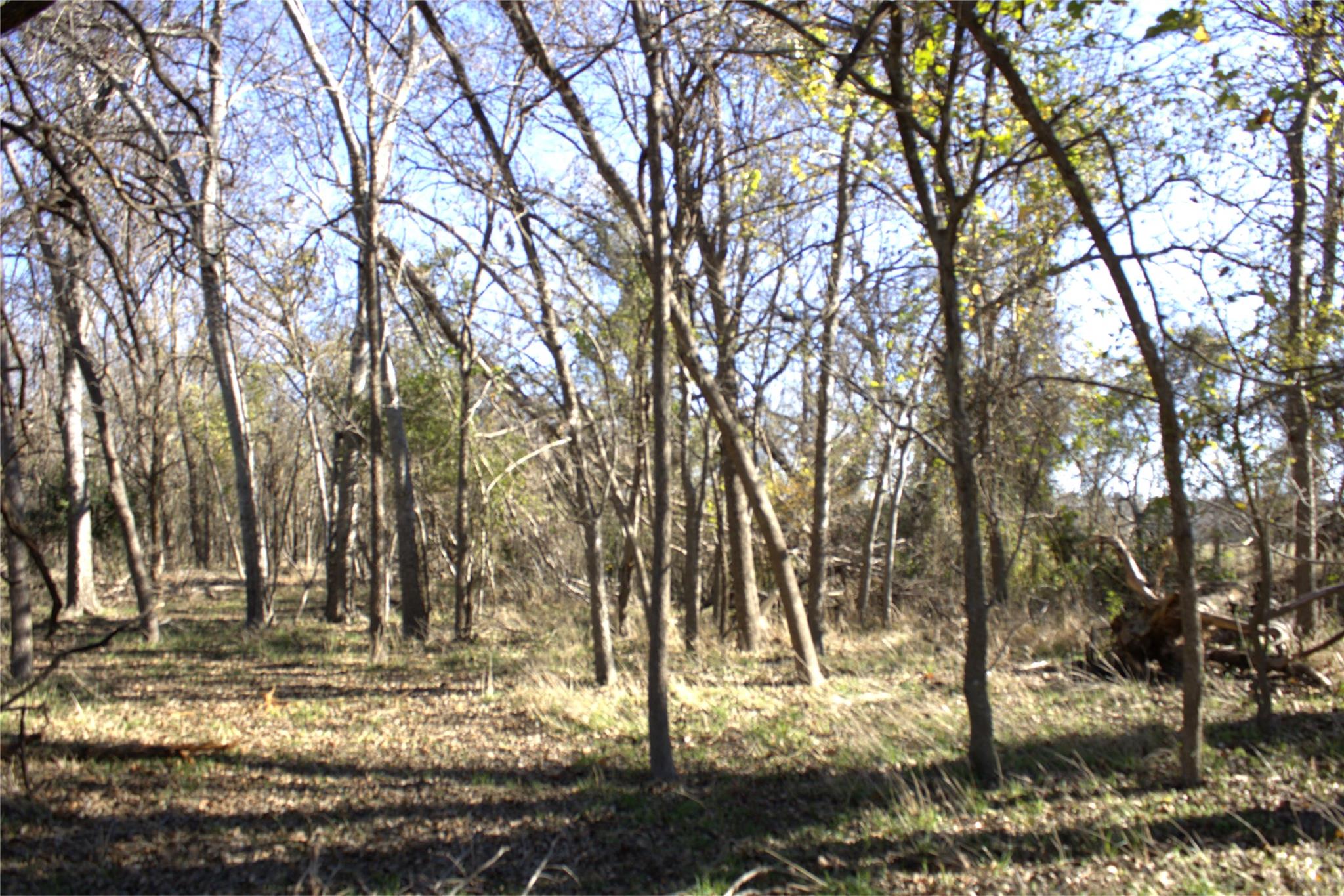 Tbd S Hackberry St Property Photo 6