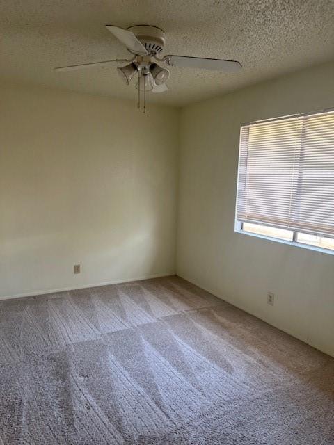 112 Verna Spur #a Property Photo 14