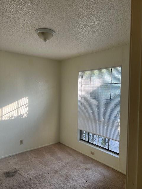 112 Verna Spur #a Property Photo 20