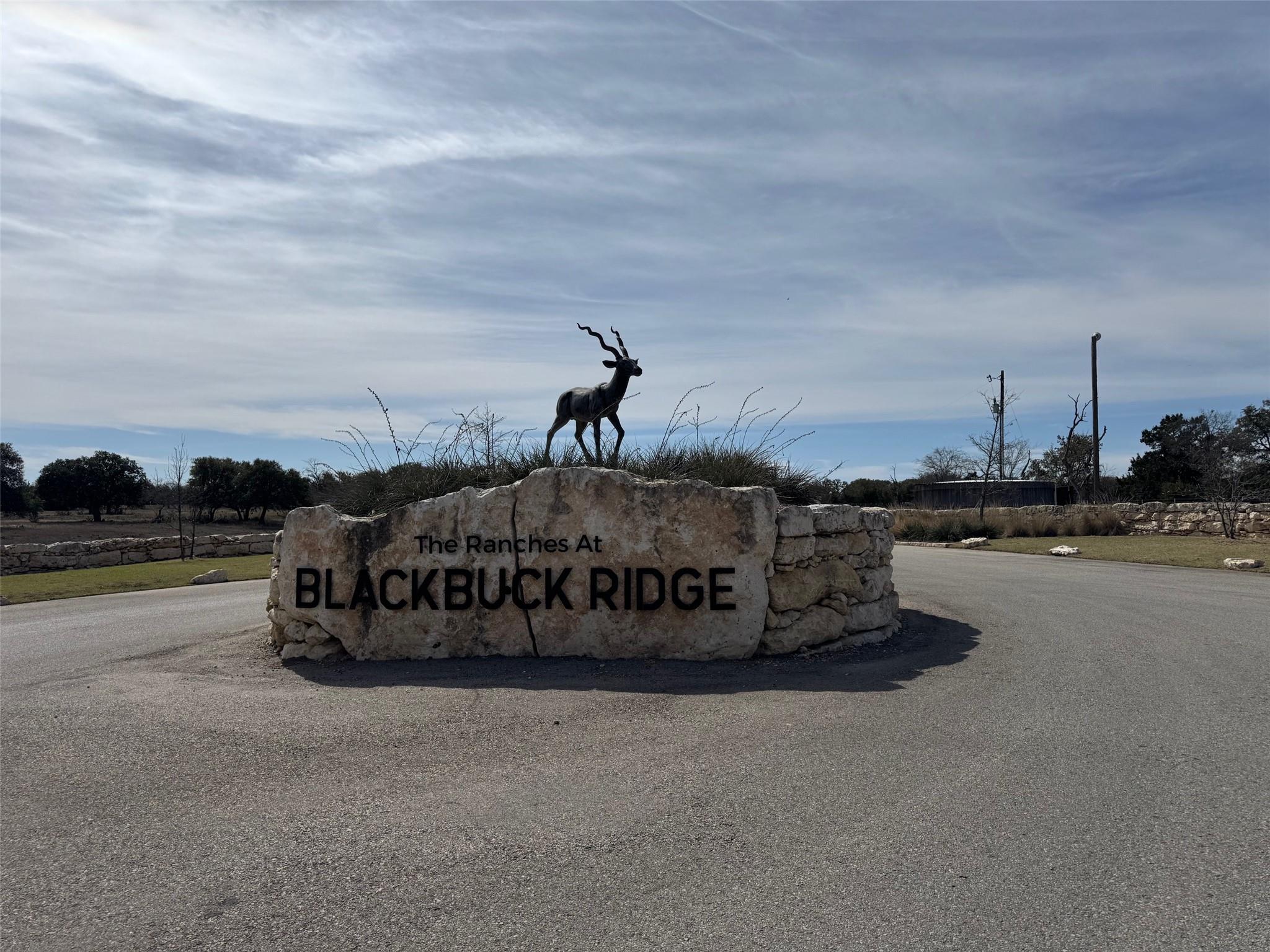 Lot 46 Eland Ln Property Photo 1