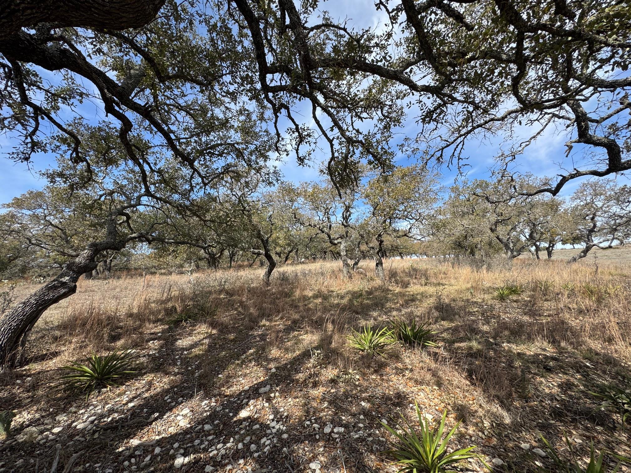 Lot 46 Eland Ln Property Photo 7