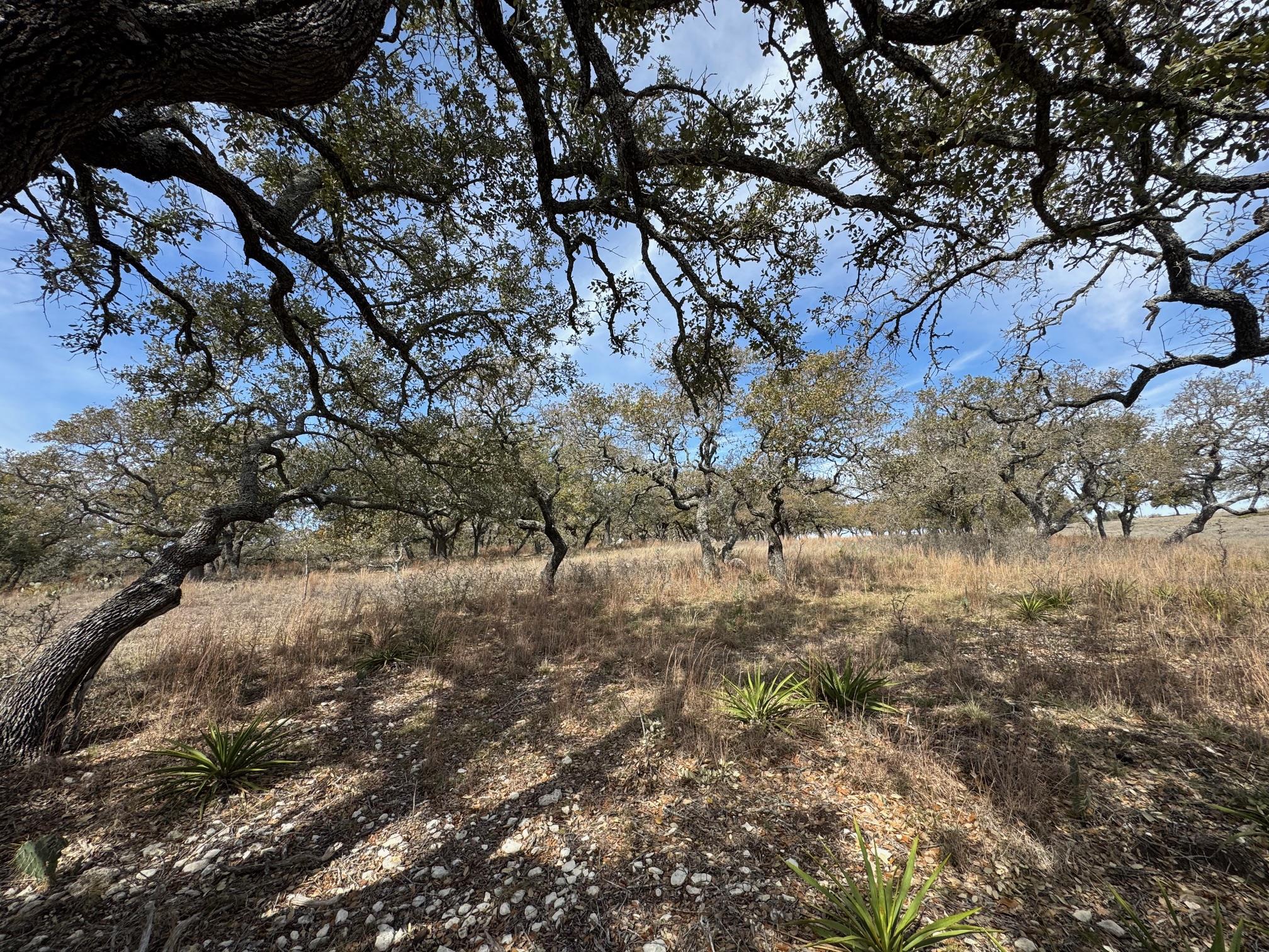 Lot 46 Eland Ln Property Photo 8