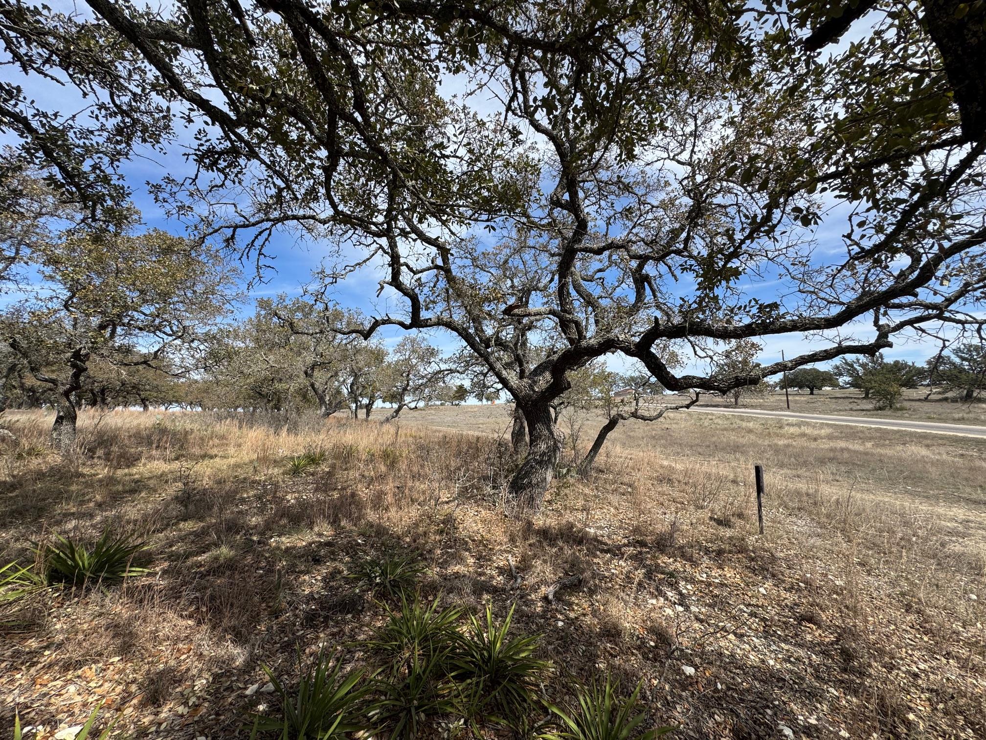 Lot 46 Eland Ln Property Photo 9