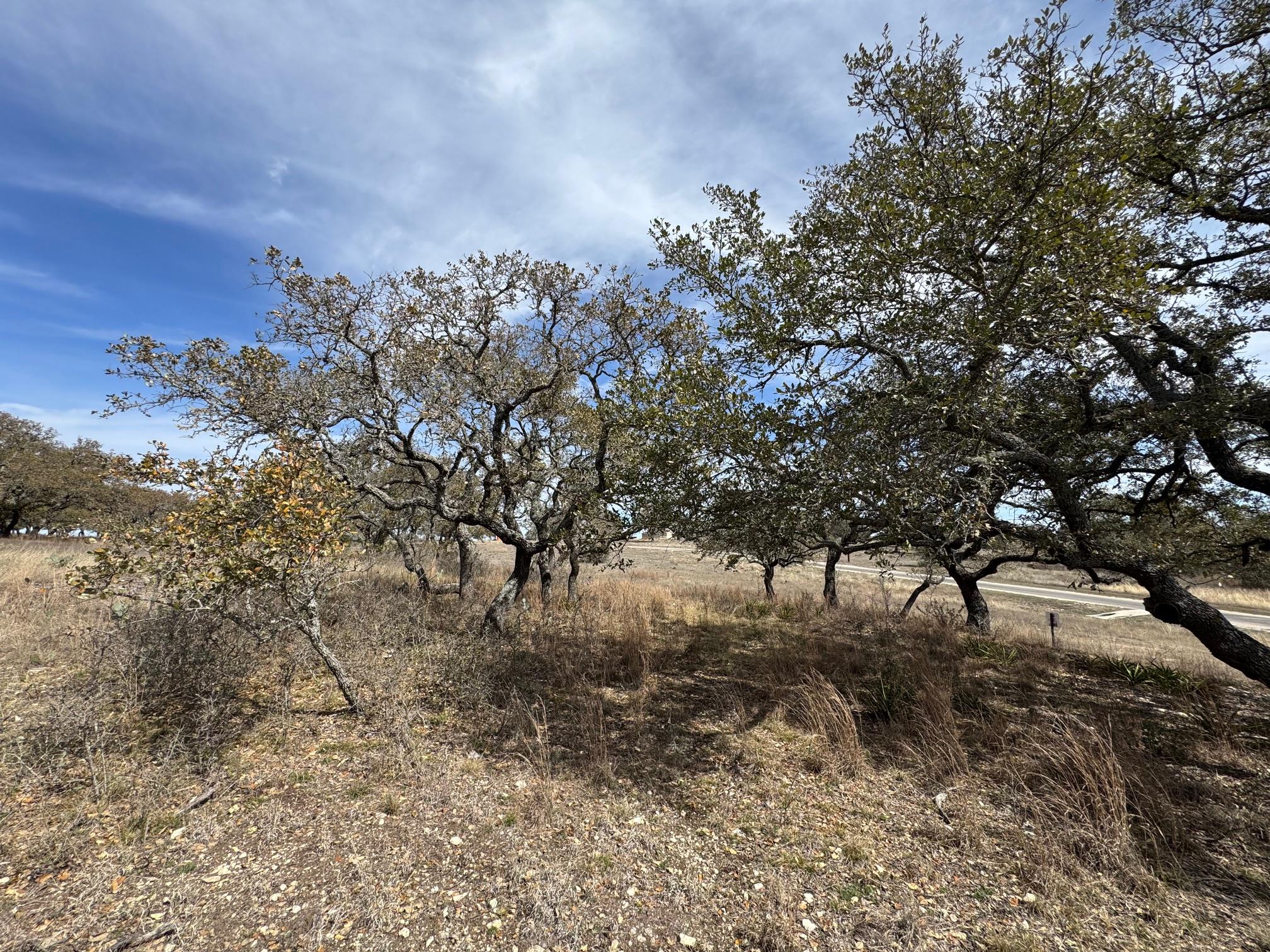 Lot 46 Eland Ln Property Photo 11