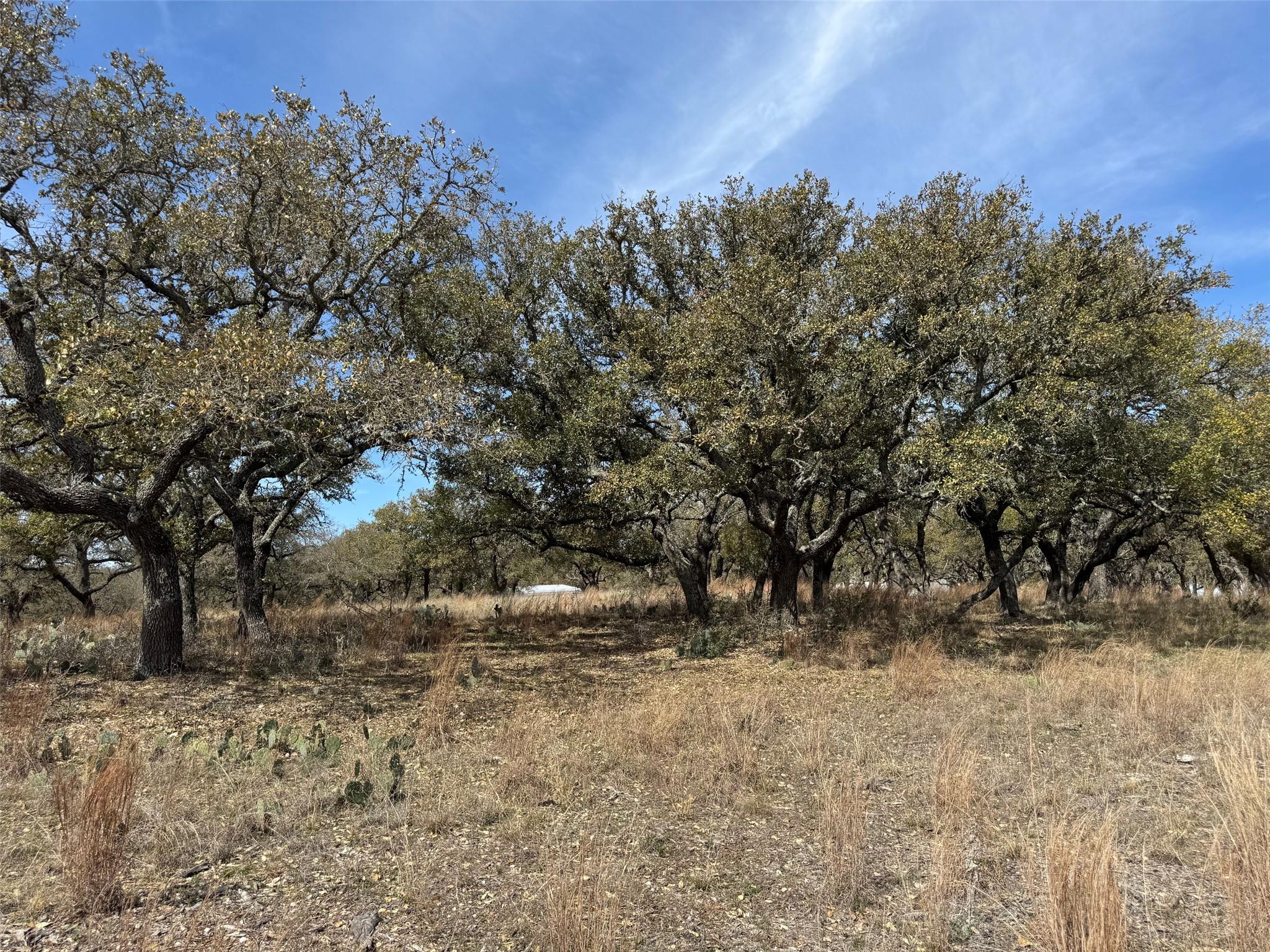 Lot 46 Eland Ln Property Photo 12