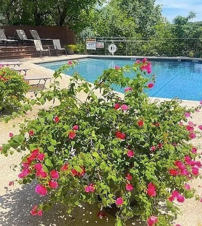 1821 Westlake Dr #103 Property Photo 18