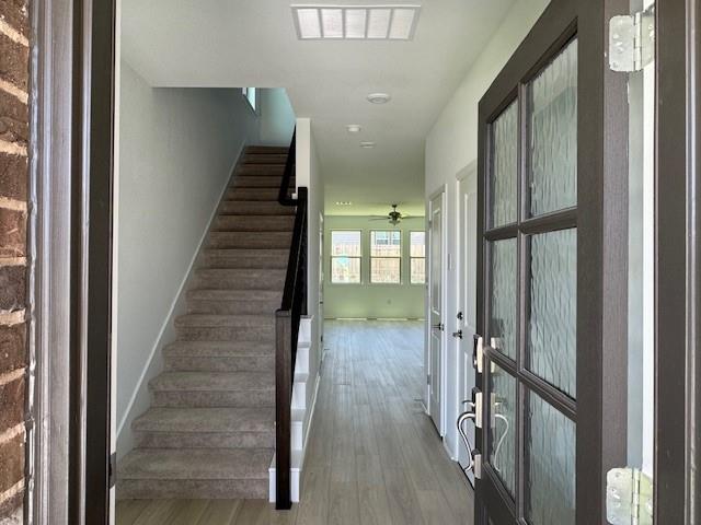 788 Papaya Dr Property Photo 6
