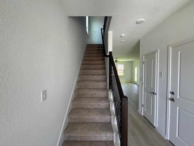 788 Papaya Dr Property Photo 7