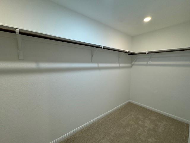 788 Papaya Dr Property Photo 18