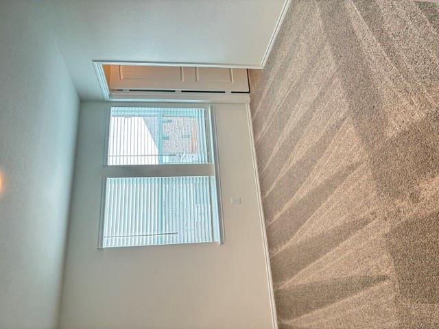 4040 Terracina Dr Property Photo 22