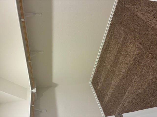 4040 Terracina Dr Property Photo 26