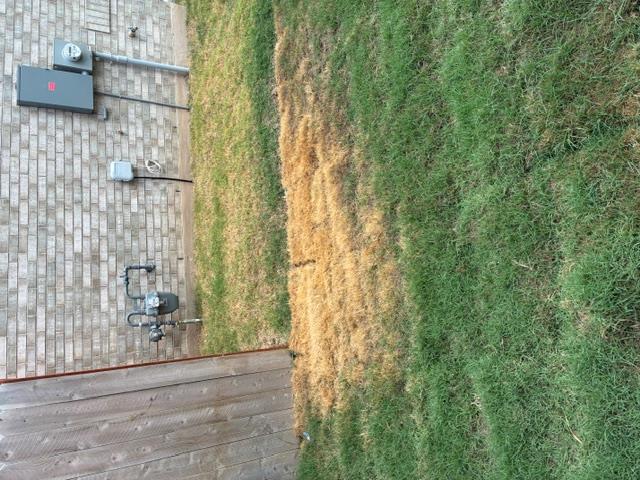 4040 Terracina Dr Property Photo 28