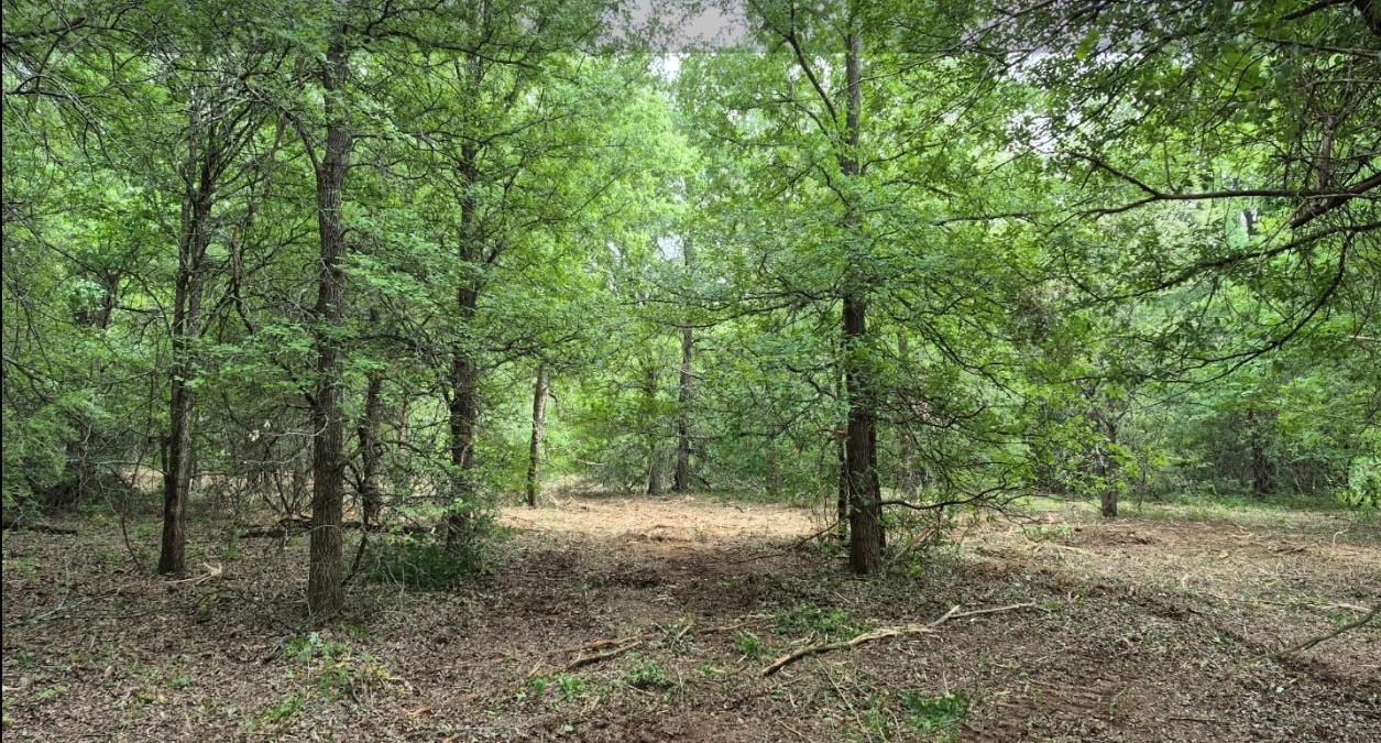 102 Wayside Dr Property Photo 2