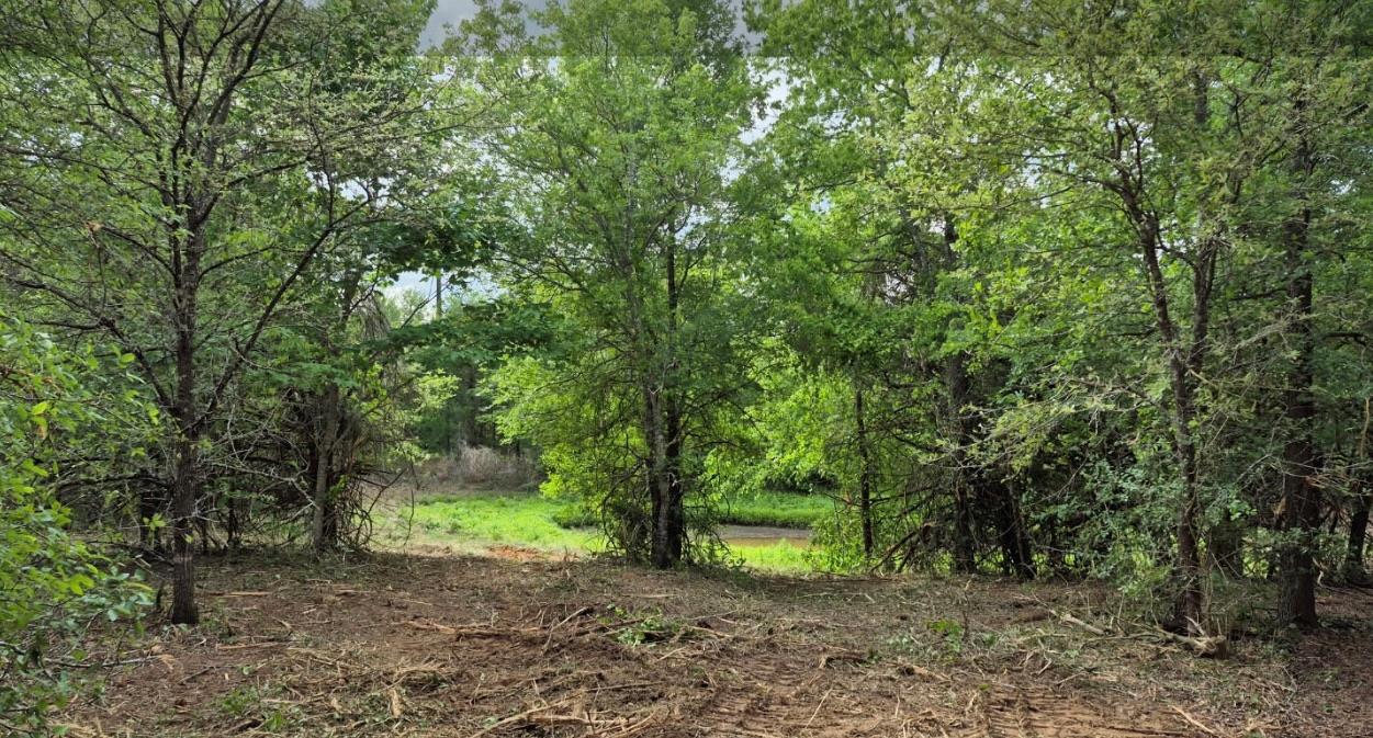 102 Wayside Dr Property Photo 3