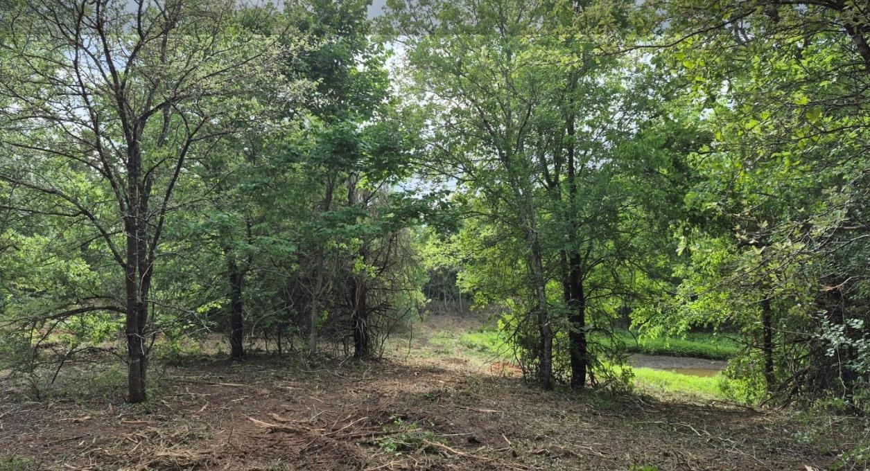 102 Wayside Dr Property Photo 5