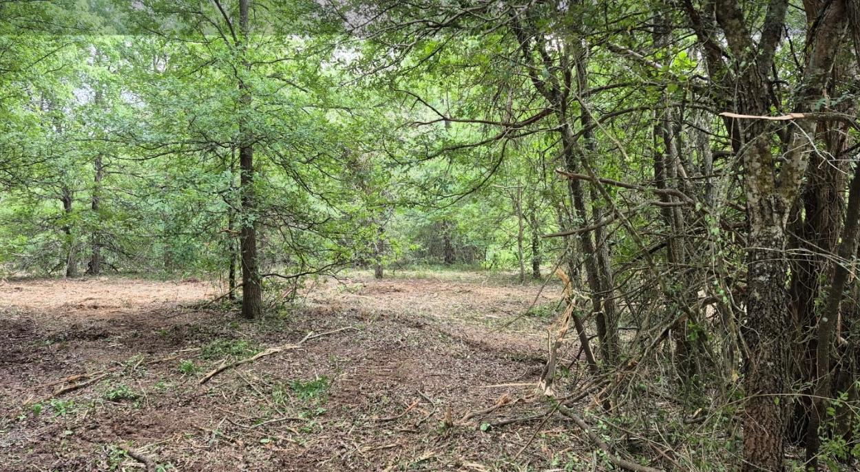 102 Wayside Dr Property Photo 6