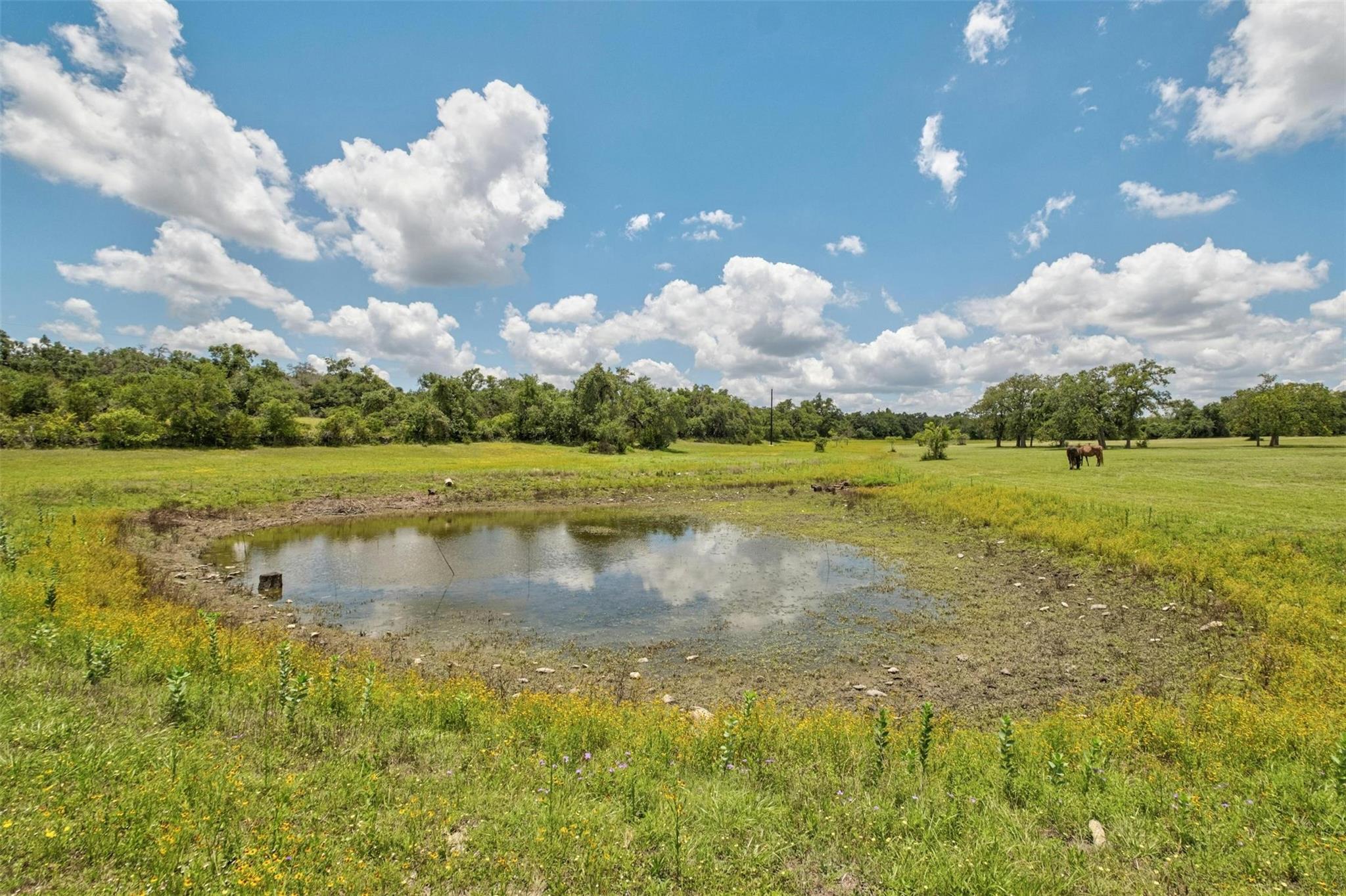 3805 Lone Man Mountain Rd #b Property Photo 25