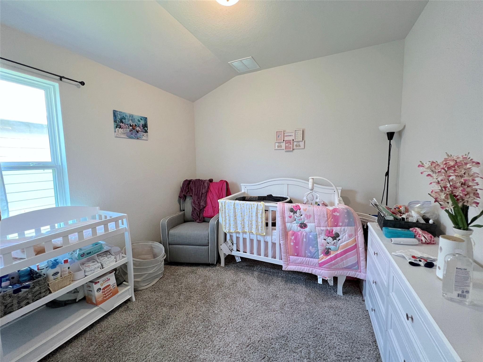 502 Mossy Rock Dr Property Photo 19