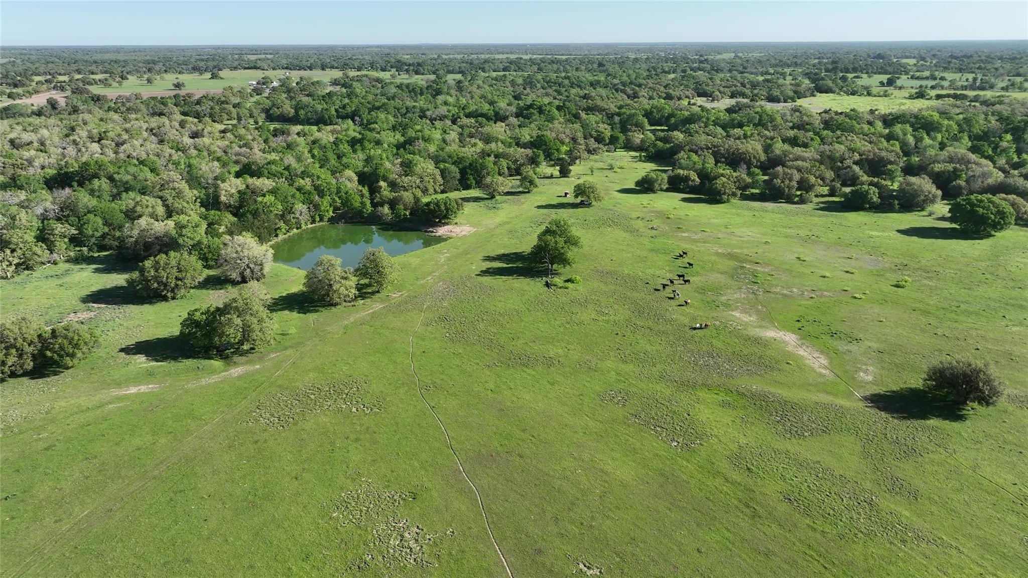 0 County Road 127 None Property Photo 9