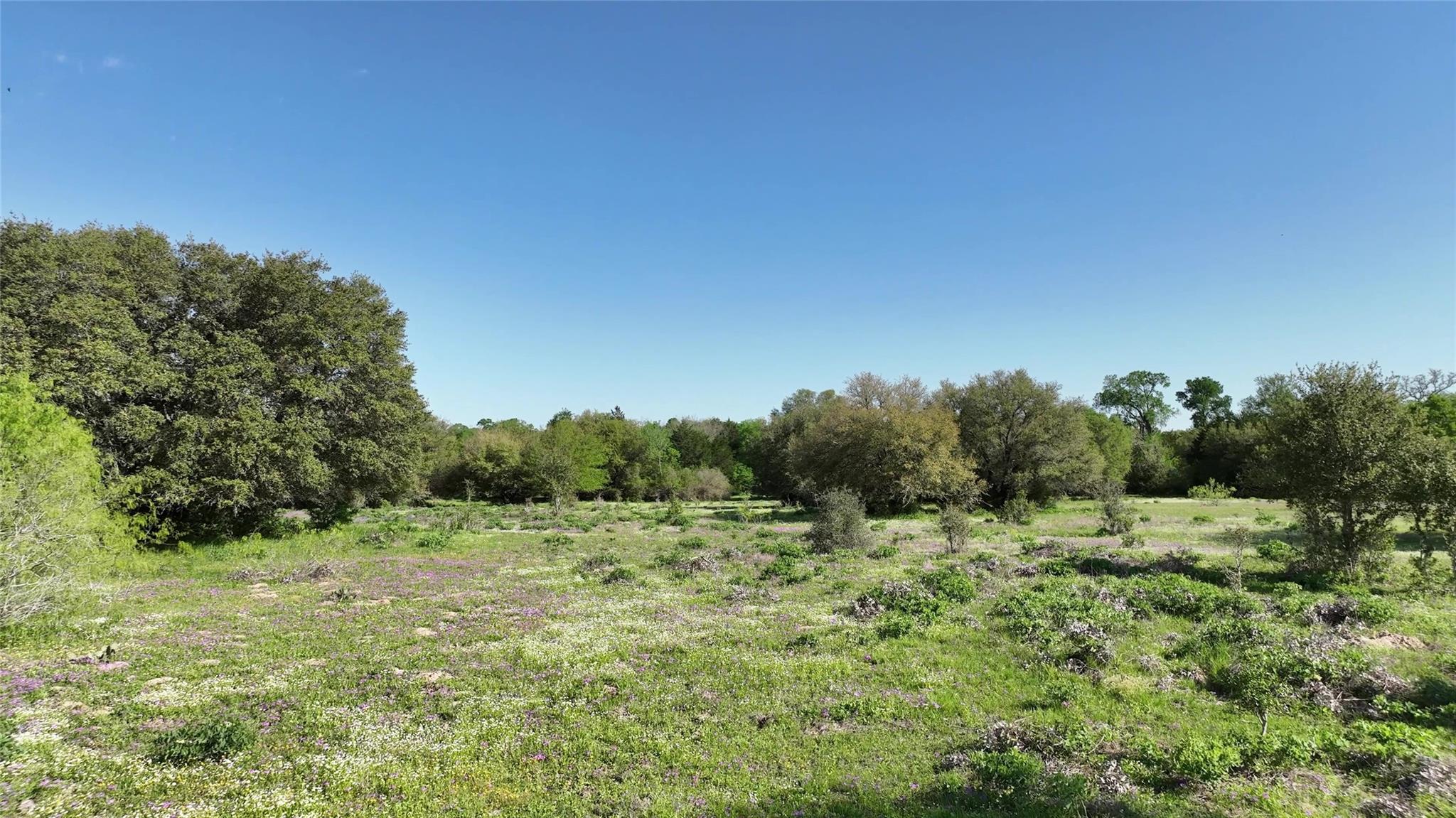 0 County Road 127 None Property Photo 18