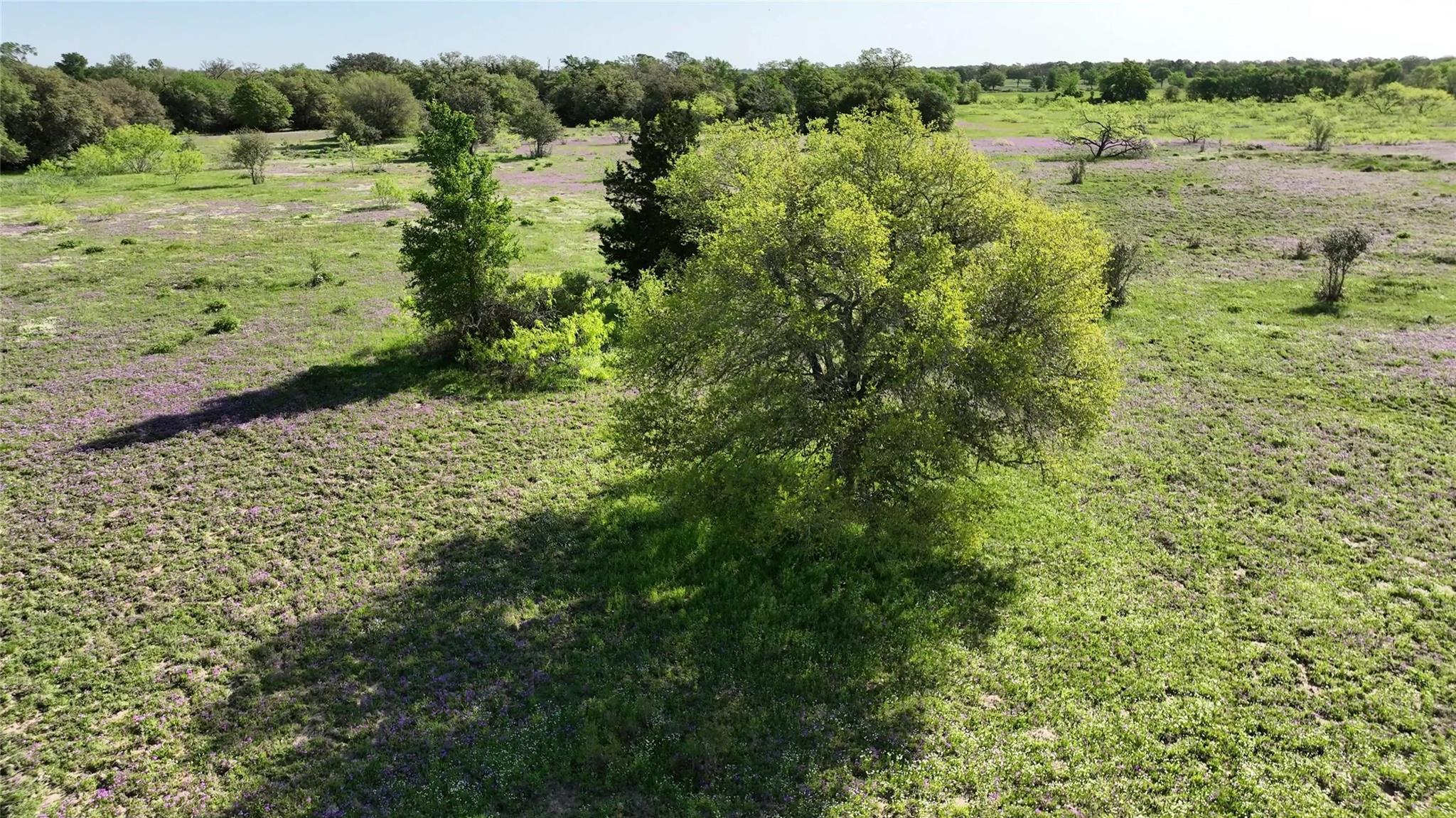 0 County Road 127 None Property Photo 22