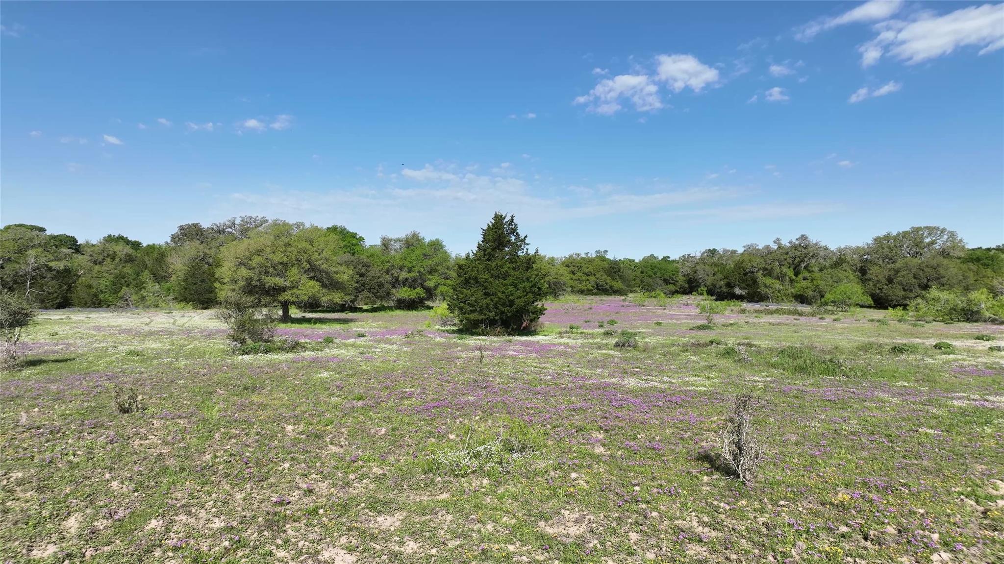0 County Road 127 None Property Photo 23