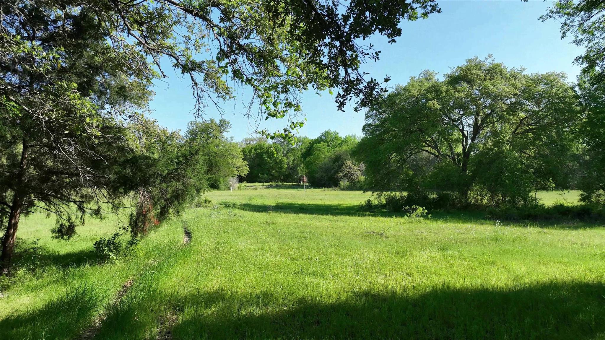 0 County Road 127 None Property Photo 28