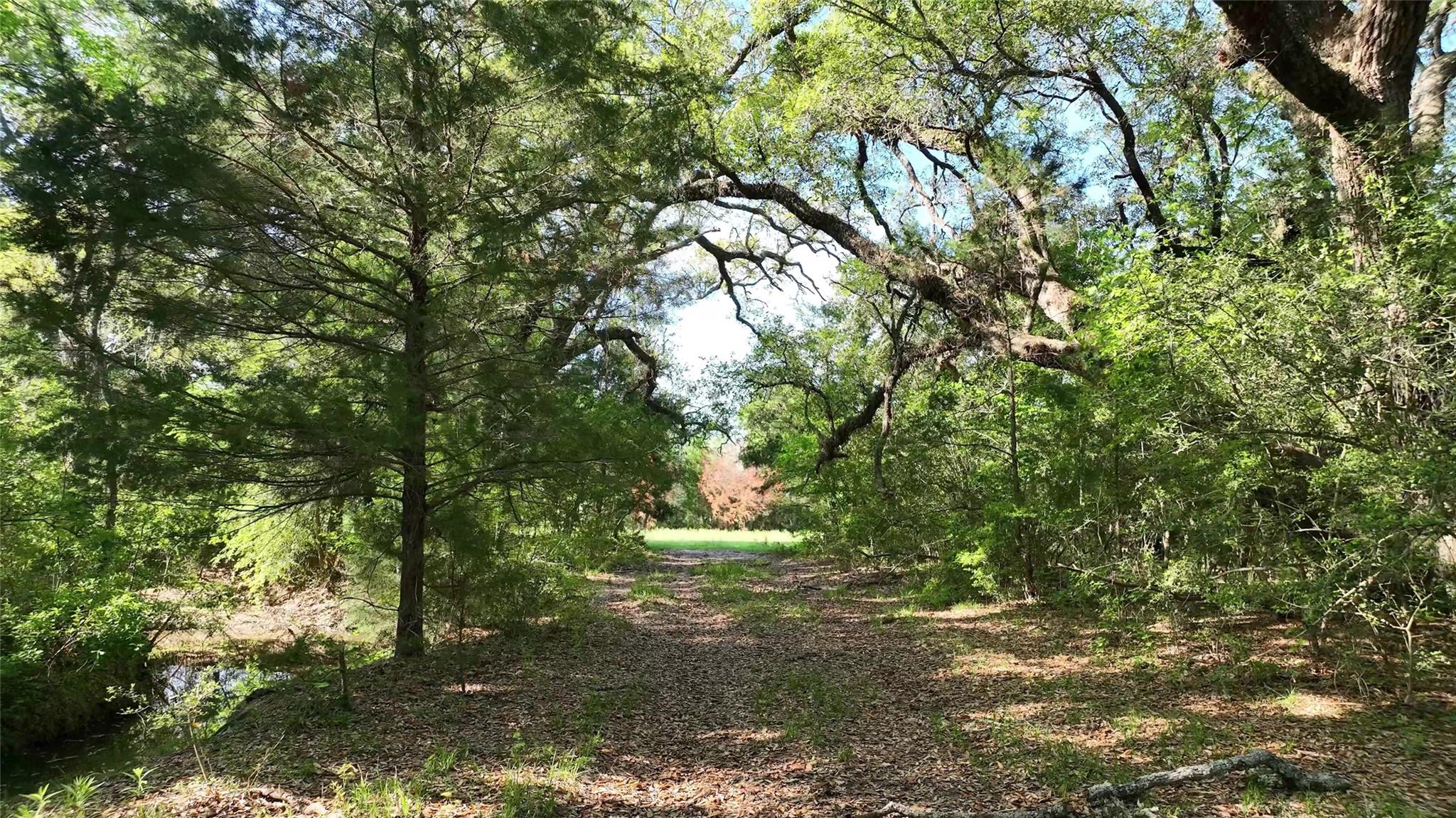 0 County Road 127 None Property Photo 29