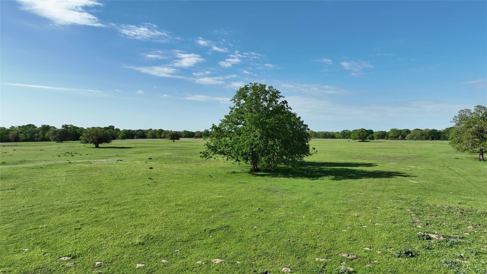 0 County Road 127 None Property Photo 34